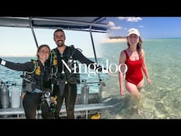 The Ningaloo Reef - Exmouth, Cape Range & Manta Rays