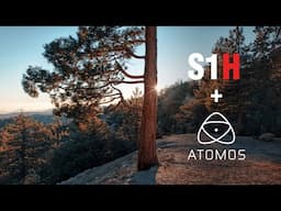 Panasonic S1H Cinematic test footage | Atomos PRORES RAW 5.9K BETA