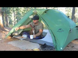 Solo Camping In Healing Forest, Cozy Relaxing In The Tent, ASMR