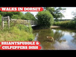 WALKS IN DORSET at BRIANTSPUDDLE, CULPEPPERS DISH & TURNERS PUDDLE (4K)