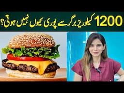 Why 1200 Calories from a Burger Are Not Enough? | Ayesha Nasir