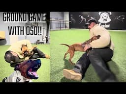 Ground game breakdown with 9 month old Staffy Oso