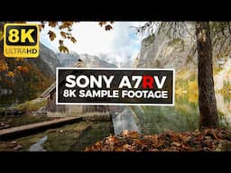 SONY a7RV - 8K Sample Footage | Jaworskyj