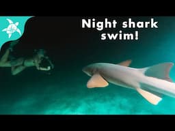 New Crew! SWAM with SHARKS at Night under our Boat! Chillin in Staniel Cay, Bahamas!