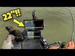 Livescope is INSANE on this MASSIVE SCREEN! (Fall Fishing)