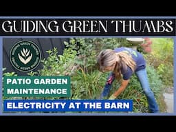 PATIO GARDEN MAINTENANCE  / ELECTRICITY AT THE BARN / FARM FLOWER GARDENS TOUR