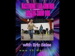 Lead control for Dog Show Training - with Eric Salas