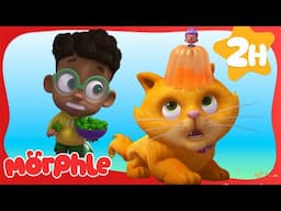 Teeny Tiny Picnic Problem | Morphle the Magic Pet | Preschool Learning | Moonbug Tiny TV