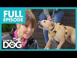 Luca: The Not So Brave Bulldog | Full Episode | It’s Me or The Dog