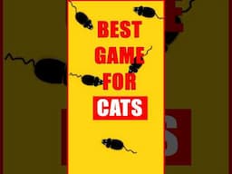 Game for Cats with Meowing Sounds to Entertain Cats. Mice Entertainment Cat Game for Cats to Watch