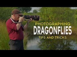 Sony A1 Dragonfly Photography: Pro Tips & Tricks for Capturing Stunning Shots