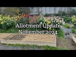 Allotment Update November 2024, Allotment Diary, Allotment Gardening