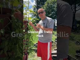 Greenstalk Trellis Hack For Tomatoes and Peppers! #shorts #gardening #greenstalk