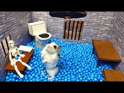 🐹Hamster escapes the awesome maze for Pets in real life 🐹 in Hamster stories Part 3