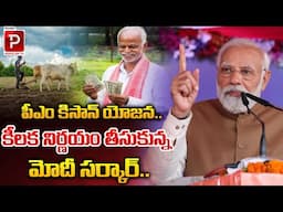 పీఎం కిసాన్ యోజన..| PM Modi Key Decision On PM Kisan Yojana | Latest News | Money Popular TV