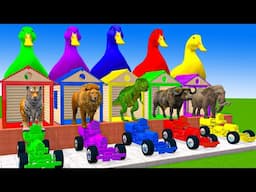 5 Giant Duck Cartoon,Cow,Elephant,Lion,Tiger,Dinosaur,Paint Wild Animals Crossing Fountain Animation