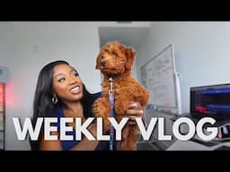 my puppy DOESNT listen to me anymore + I got a new camera + SOOO many travel plans | COURTREEZY 2.0