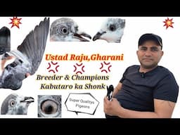 Breeder Aur Champion Kabutaro ka Shonk || Ustad Raju || Gharani,J&K Part -2