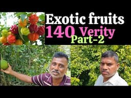 Exotic fruits farming, Part-2, 140 verity exotic fruits farm, Exotic fruits farm,