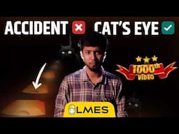 How do cats prevent 22% of road accidents in India ? | Road Stud