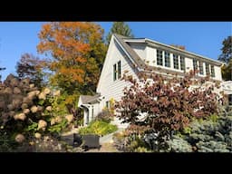 A beautiful autumn garden stroll 🍂