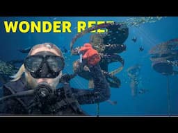 Scuba Diving The World's ONLY Floating Reef!