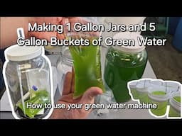 Using Your Green Water Machine and Making 5 Gallon Buckets of Green Water