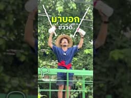 ดินเน่า 1