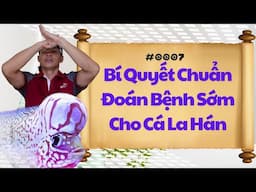 #0007 - Bí Quyết Chuẩn Đoán Bệnh Sớm Cho Cá La Hán | Phong Thủy Cá Cảnh