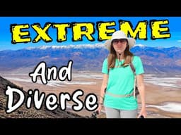 Death Valley California [4K UHD] | Badwater Basin | Mosaic & Golden Canyons | Ubehebe Crater