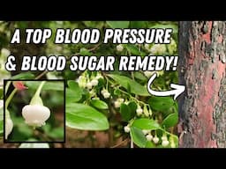 Lower Your High Blood Pressure In 14 Days With This Common Shrub