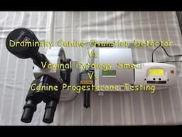 Comparing Draminsky Dog Ovulation detector-Vaginal Cytology- Canine progesterone test