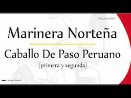 Caballo De Paso Peruano | Marinera Norteña (primera y segunda)