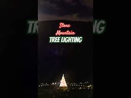 Christmas Tree Lighting