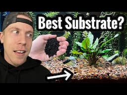 Top 5 Best Planted Tank Substrates for Live Plants