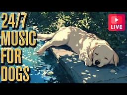 🔴 Music To Relax Your Dog - Endless Relaxation Playlist