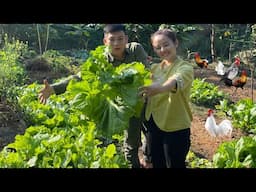 Harvest giant vegetables and sell them to the pilot agricultural CEO