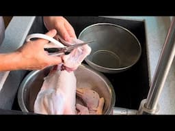 Super Easy 123: Clean & Cut Duck with Scissors. How to Easy Duck Handling Method