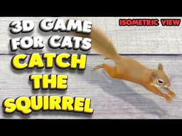 3D game for cats | CATCH THE SQUIRREL (isometric view) | 4K, 60 fps, stereo sound