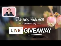 Time to pick the lucky winner | The Tiny Garden