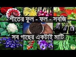 শীতের সব গাছের জন্য একটাই মাটি | Best Soil for winter plants | Roof Gardening