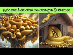 most beautiful snakes in the world in telugu | rarest snakes | facts in telugu | interesting facts