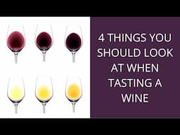 4 Key things to look at when tasting wine