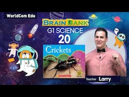 G1 Science 20. Crickets   [ Brain Bank G1 . Science ] by Larry Teacher