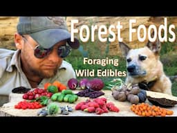 Survival Foraging Foods from the Forest -Fall Harvest-