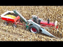 Picking Corn and Grinding Feed On A Dairy Farm! Harvest 2024!