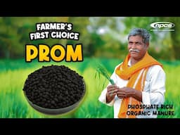 How to Start a Phosphate Rich Organic Manure (PROM) Manufacturing Business | Complete Guide