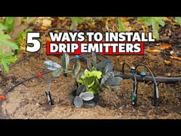 5 Ways to Install Drip Emitters