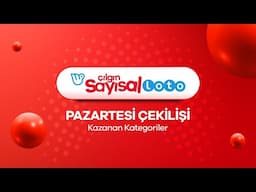 Çılgın Sayısal Loto 18 Kasım 2024 Çekilişi No. 139 - Kazanan Kategoriler