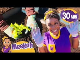 Meekah Takes Care of the Earth! | BEST OF MEEKAH! | Learn Colors and Science with Blippi!